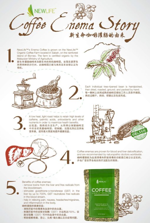 Coffee Enema - Organic Sabah 250gm Powdered Grains, Lightly Roasted, Certified Organic, Detoxifies Liver - Image 10