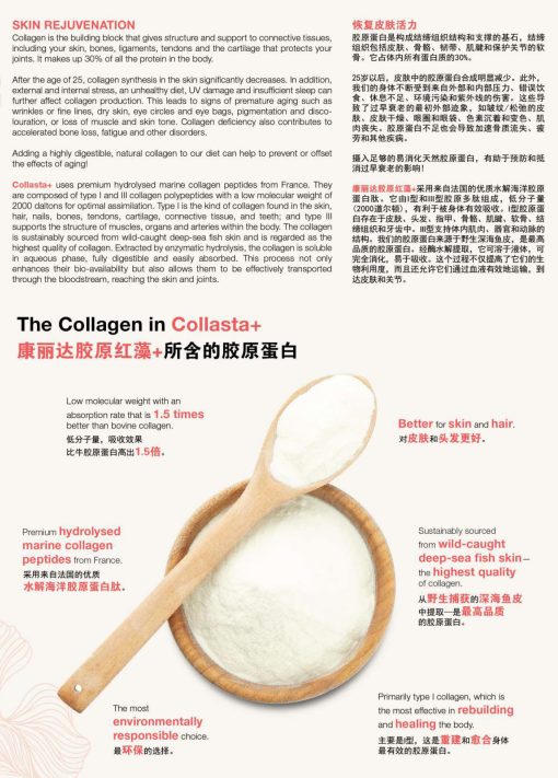 Collasta: Premium Antioxidant & Anti-Aging Supplement with Marine Collagen, Vitamins, and Natural Extracts, Skin Rejuvenation - Image 5