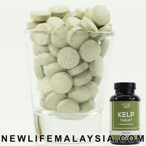 Kelp Supplement - Nova Scotia & Pacific Iodine, 22 Trace Element, Thyroid Support, Ascophyllum Nodosum Seaweed - Image 5
