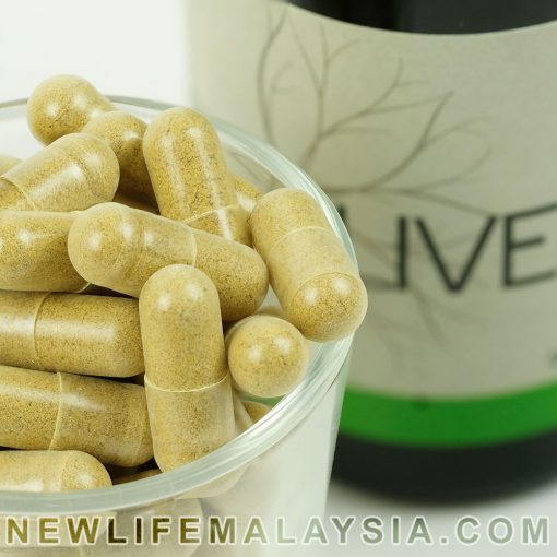 Liverin - Milk Thistle Dandelion Artichoke Burdock Celery Extract Natural Detox Supplement - Image 2