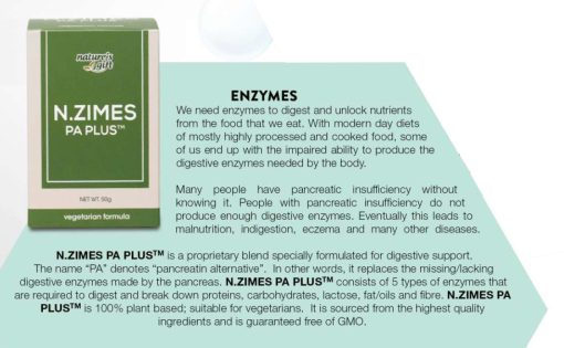 N.Zimes PA Plus - Pancreatin Alternative Plant-Based Enzymes Supplement for Optimal Digestion - Image 4