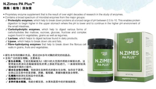 N.Zimes PA Plus - Pancreatin Alternative Plant-Based Enzymes Supplement for Optimal Digestion - Image 5
