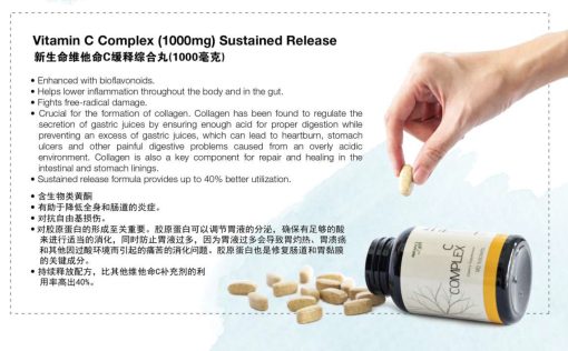 Vitamin C Complex - Sustained Release, High Potency Antioxidant, Immune System, Bioflavonoids for Enhanced Absorption - Image 5